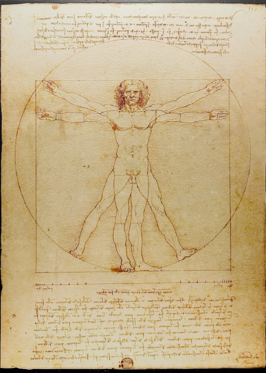 Vitruvian Man